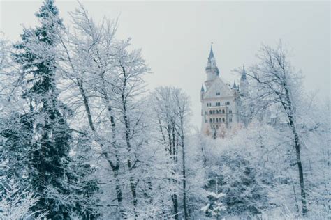 110+ Neuschwanstein Castle Disney Stock Photos, Pictures & Royalty-Free Images - iStock