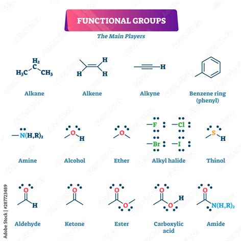 Functional groups vector illustration. Chemical reactions explanation list. Stock Vector | Adobe ...