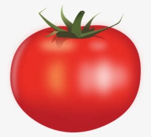 Tomato Drawing Kamatis - Vegetable Tomato In Clip Art Transparent PNG ...