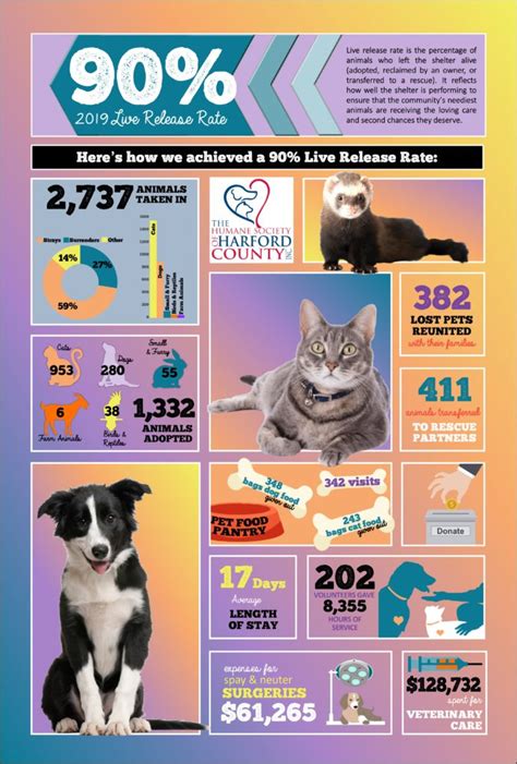 Shelter Statistics | The Humane Society of Harford County