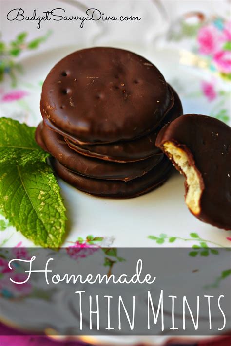 Copycat Recipe: Thin Mints Recipe | Budget Savvy Diva