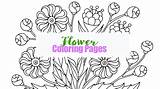 Flower Coloring Pages  Happy Toddler Playtime sketch template
