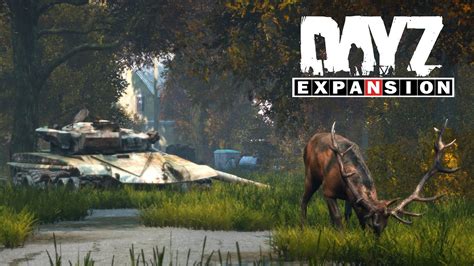 We have combined a DayZ Expansion Mod 1.08 client with the needed MODS to join our Blu-Games server.