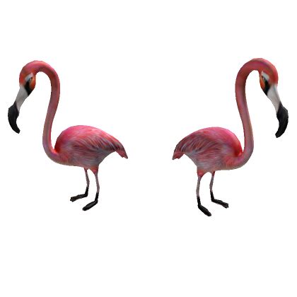 Flamingo | Roblox Item - Rolimon's