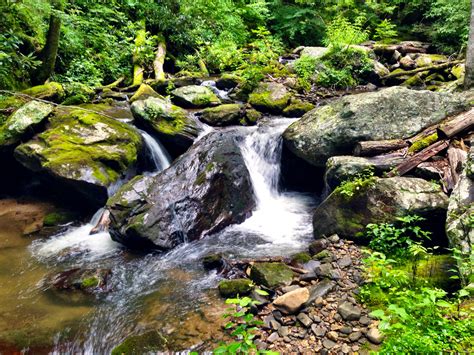 Unicoi State Park, Georgia Photo: P Marlin Unicoi, Marlin, Travel Photos, State Parks, Georgia ...