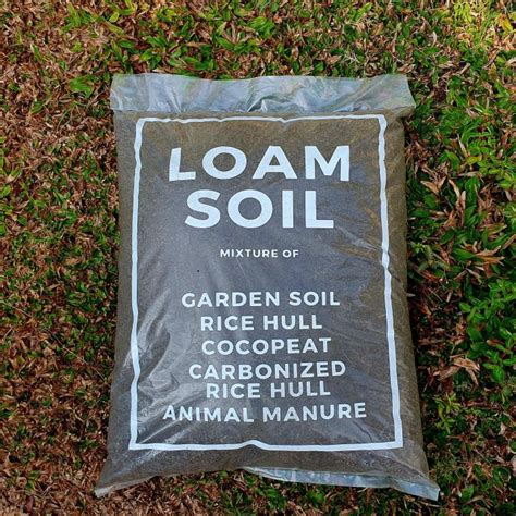 Premium Loam Soil 8-10 kgs | Organic and High Quality | Garden Loam ...