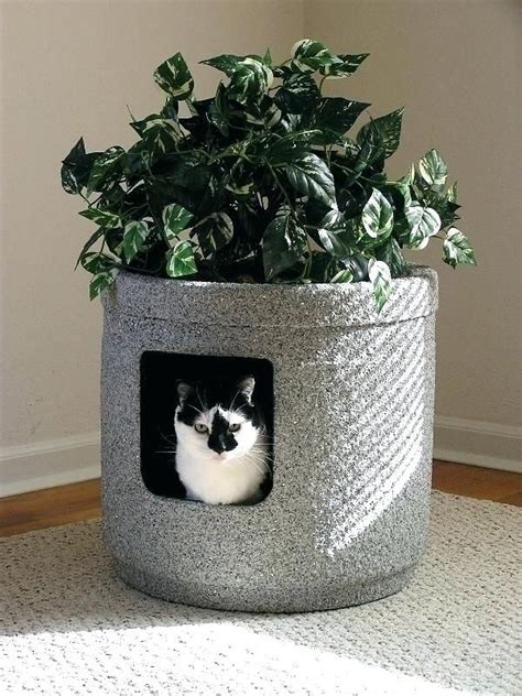 Architecture Hidden Litter Box Plant 6 Outdoor Ideas 2 For Cat Inspirations 11 | Cat litter box ...