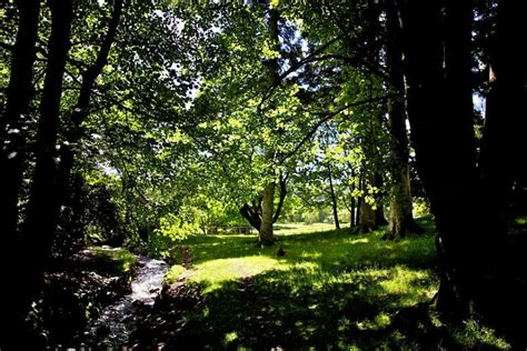 The Grounds, Woodland & Waterfall at Rydal Hall