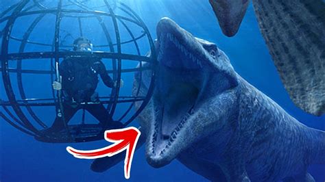 Unbelievable Giant Sea Creatures Caught On Camera Youtube | Images and ...