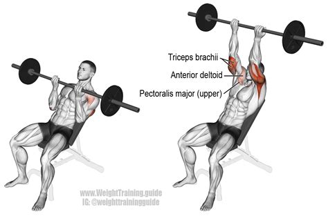 Incline reverse-grip barbell bench press exercise guide and videos | Best chest workout, Workout ...