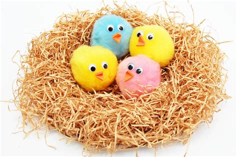 Baby Birds in a Nest | Kids' Crafts | Fun Craft Ideas | FirstPalette.com