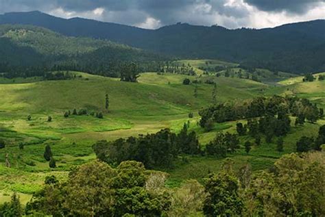 Kodaikanal Hill Station information, Tamil Nadu