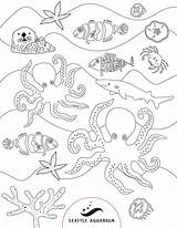 Seattle Aquarium On Twitter  sketch template