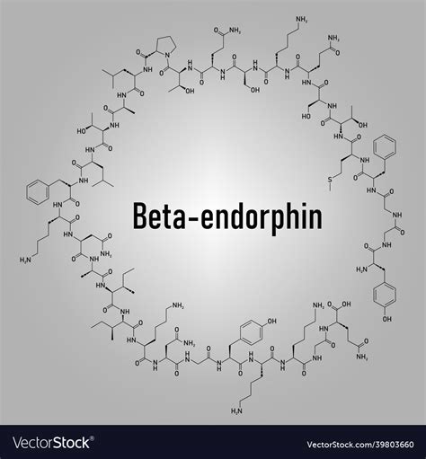 Beta-endorphin molecule skeletal formula Vector Image