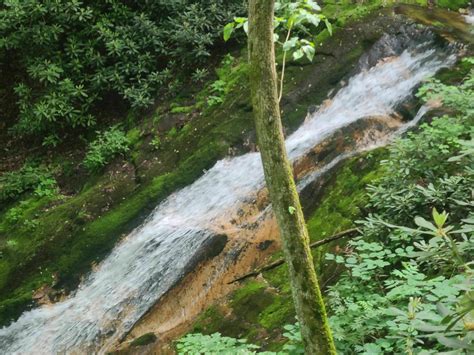 Rock Creek Trail - Tennessee | AllTrails