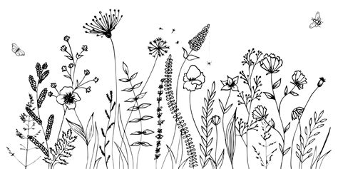 Black silhouettes of grass, flowers and herbs isolated on white background. Hand drawn sketch ...