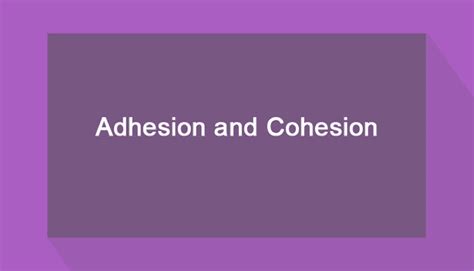 Difference between Adhesion and Cohesion