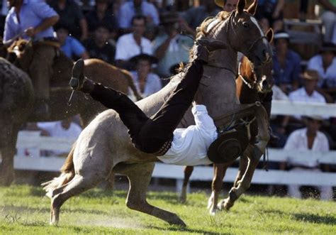 Untamed Horses Throw Off Their Riders (20 pics) - Izismile.com