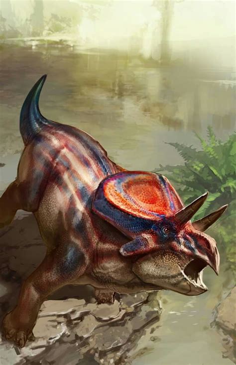 Zuniceratops christopheri. Art by Carlo Arellano and Jacqueline Jocson Prehistoric Wildlife ...