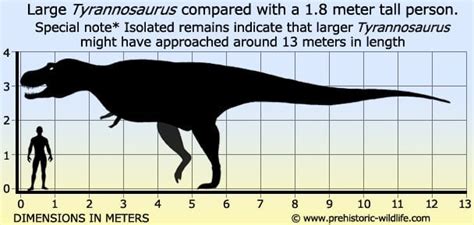 Tyrannosaurus