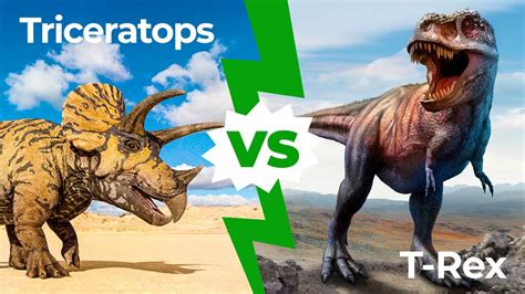 Triceratops vs T-Rex: Who Would Win in a Fight? - A-Z Animals