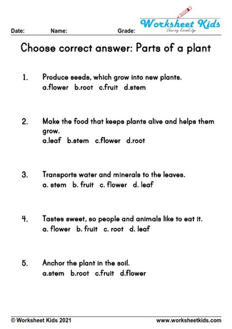 Flower Parts And Functions Worksheet Pdf | Best Flower Site