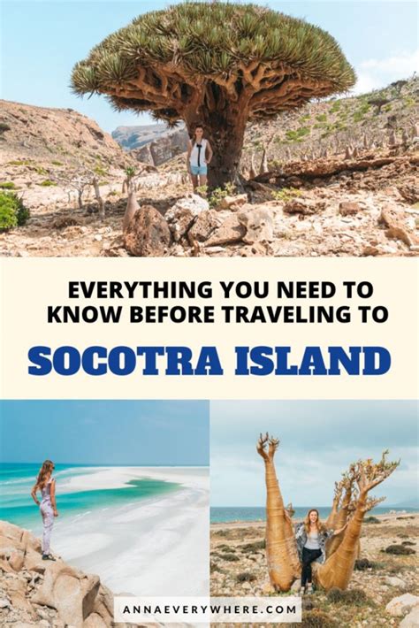 How to Travel to Socotra Island - Anna Everywhere