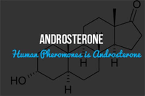 Androsterone Pheromone: It’s Effects on Humans - True Pherom