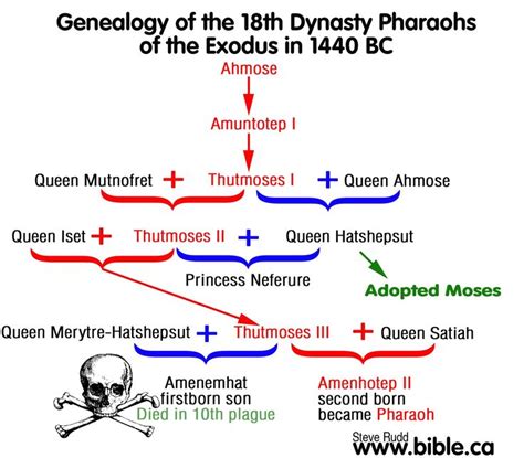 Sharon M. Himsl - Shells, Tales and Sails: Q for Queen Hatshepsut: Female Scientists Before Our Time