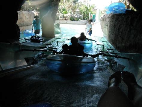 conveyor belt on the lazy river - Picture of Aquaventure Water Park at ...