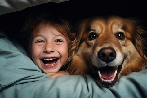 Golden Retriever & kid blanket | Premium Photo - rawpixel