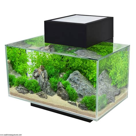 Fluval Edge Aquarium