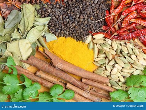 Indian Curry Spices stock image. Image of color, cooking - 8068231