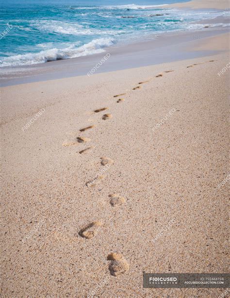 Scenic view of footprints in the sand on beach — close up, travel ...