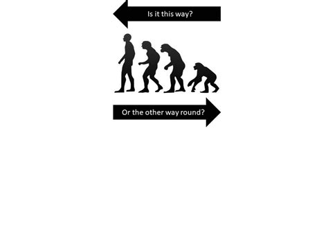 Evolution theory evidence. Is it a real one?