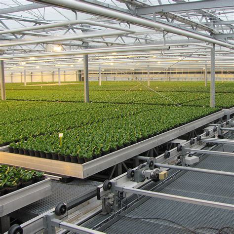 Commercial Greenhouse Seedbed 4X8 Ft Nursery Bed Ebb And Flow Tray ...