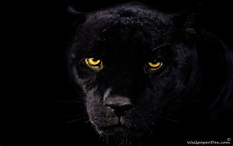 LOVE QUOTES: Black Panther Wallpapers