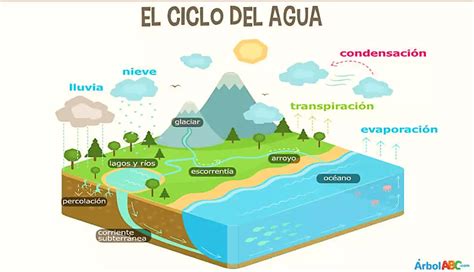 EL CICLO DEL AGUA: ETAPAS Y CARACTERÍSTICAS