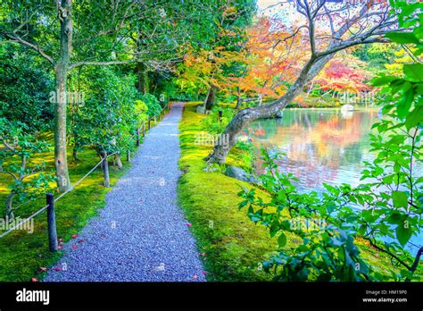 Autumn forest with river Stock Photo - Alamy