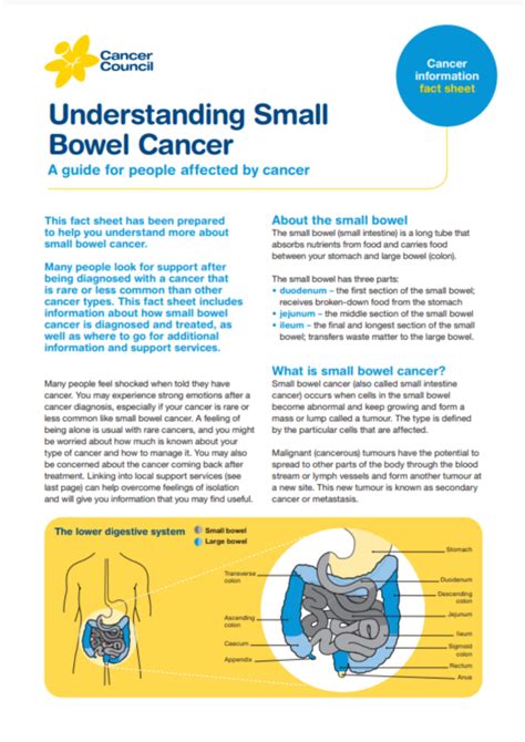 Small Bowel Cancer | Cancer Council ACT