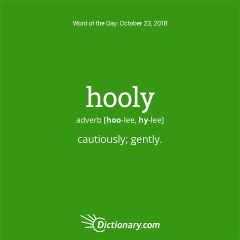 Word of the Day - hooly | Dictionary.com