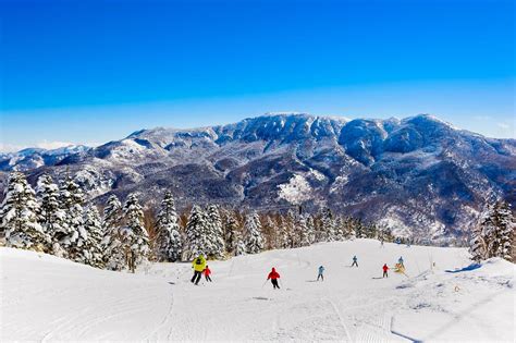 Nagano Ski Resort Travel Guide - What You Need to Know to Plan a ...