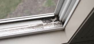 Quick & Easy Methods to Clean Window Tracks | Maid Spotless Cleaning