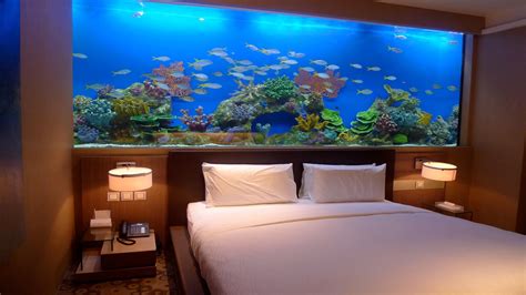 List Of Aquarium Room Ideas With New Ideas | Home decorating Ideas