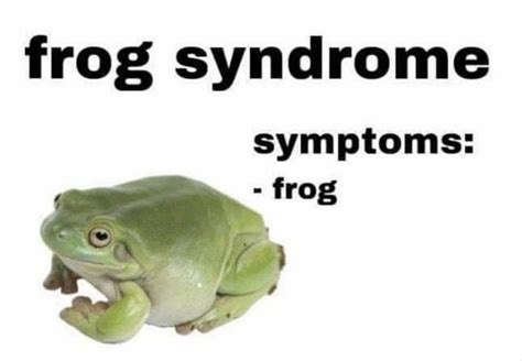 Frog Syndrome Symptoms Frog – Meme | LaptrinhX