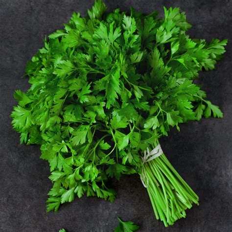 Herb Parsley Italian - Garden Express