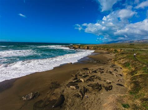 State Parks and Beaches of San Simeon - Highway 1 Road Trip