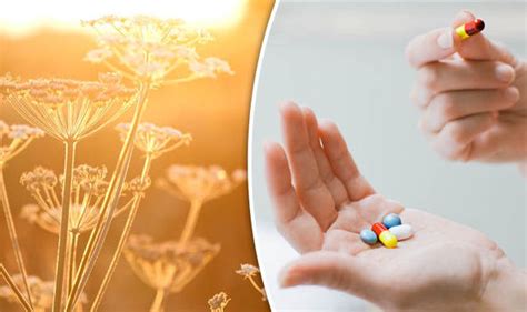 Vitamin D supplements: This could help chronic arthritis pain | Express ...