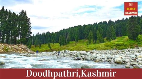 Doodhpathri – A Glimpse Of Heaven On Earth. - The Better Kashmir | Positive and Inspiring ...