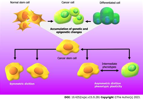 How the interplay among the tumor microenvironment and the gut microbiota influences the ...